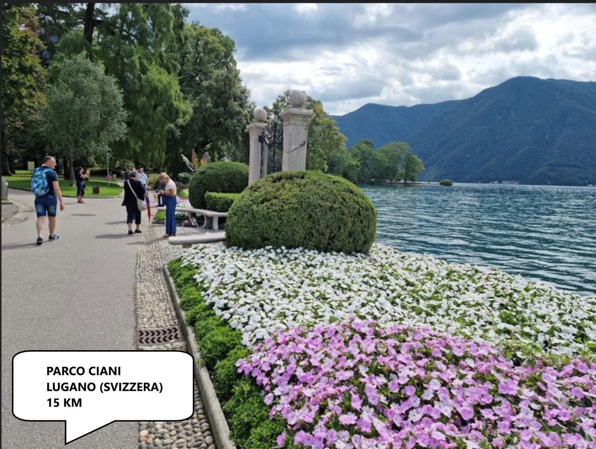 Ca Rosina Casavacanze Brusimpiano Dış mekan fotoğraf