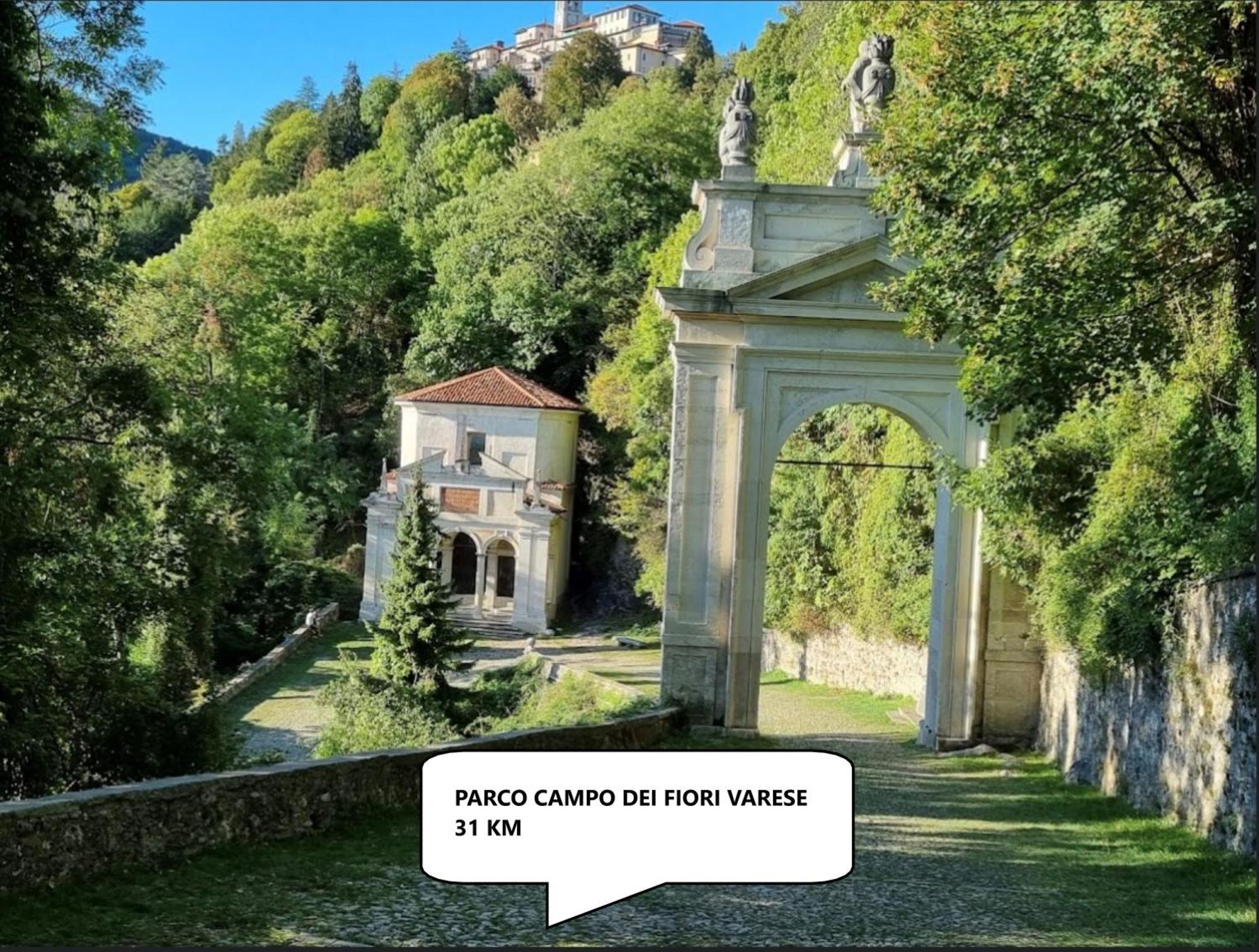 Ca Rosina Casavacanze Brusimpiano Dış mekan fotoğraf